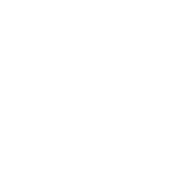 logo-pg-solution-bianco-150